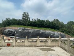 -三水森林公园