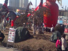 -太原动物园
