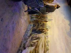 -威海华夏城景区