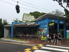 -圣淘沙天际线斜坡滑车