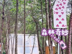 -成都松鼠部落