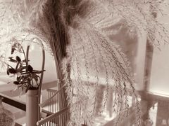 -Metal hands·铁手咖啡