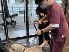 -宠颐生斯嘉宠物医院·急重症·心内科(谷阳北路分院)