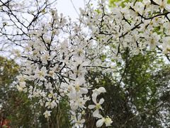 -陕西省西安植物园