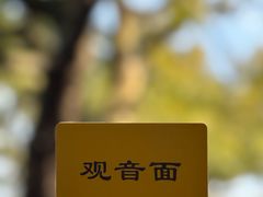 -西园寺素食(西园弄戒幢律寺店)