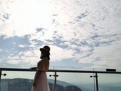 -铁山坪森林公园