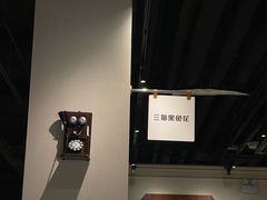 -三猫黑鱼花(南大店)