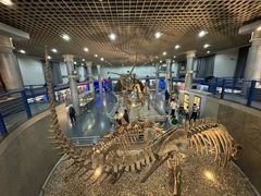 -国家自然博物馆