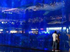 -成都浩海立方海洋公园