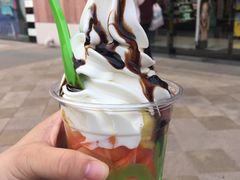 -Salud撒露欧洲冻酸奶(蓝色港湾店)