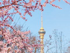 -地坛公园