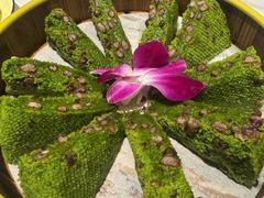 -阿露佳·舌尖上的安吉菜