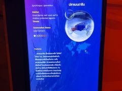 -暹罗海洋世界