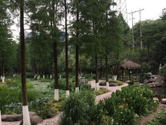 -重庆彩云湖湿地公园