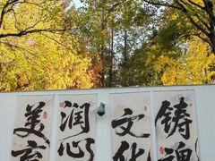 -嘉定博物馆