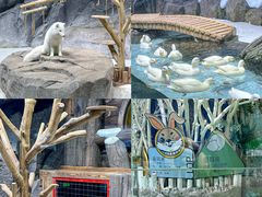 -海合安青岛极地海洋公园