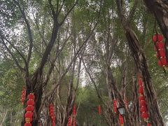 -丰都鬼城名山景区