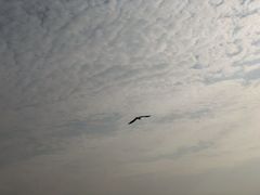 -东疆建设开发纪念公园
