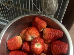 -盒马鲜生(曜一城店)