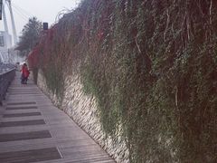 -海河外滩公园