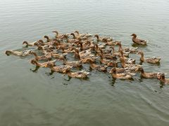 -野鸭湖国家湿地公园