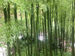 -山沟沟景区