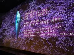 -地球美食剧场