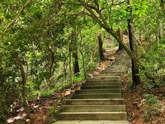 -梧桐山风景名胜区