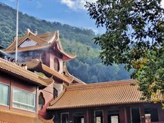 -深圳仙湖植物园