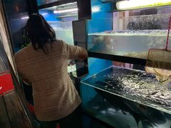 水产区-全乐鱼馆·淳牌有机鱼直营店