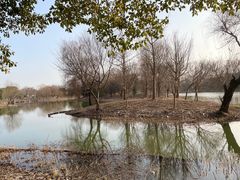 -梁鸿国家湿地公园