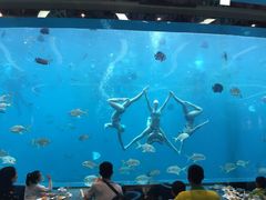-瑞德姆美人鱼海底演艺主题餐厅(亚龙湾店)