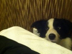 -大玩家超乐场(高新万达店)