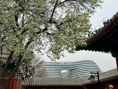 -郭记小街麻辣烫(南小街总店)
