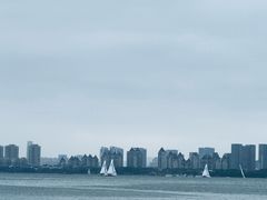 -金鸡湖游船(月光码头)