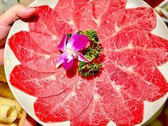 -禄婶鸡煲·打边炉