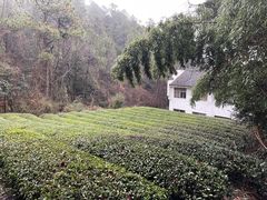 -敬亭山风景名胜区