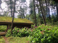 -重庆雨台山风景区
