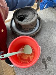 -小蜜蜂农场(凯德七宝购物广场店)