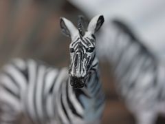 -星光摄影器材城