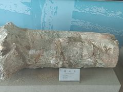 -延庆地质公园博物馆