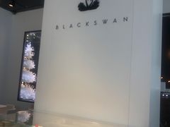 -BLACKSWAN黑天鹅(环球店)