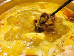 狗肉火锅-英子补身汤(海兰路店)