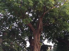 -龙环葡韵住宅式博物馆