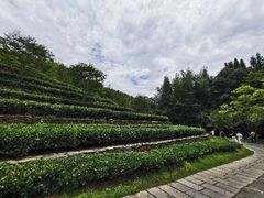 -常德桃花源景区