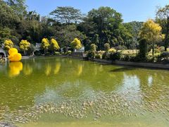 -谷丰健康凤贤居酒家