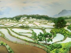 -中国湿地博物馆