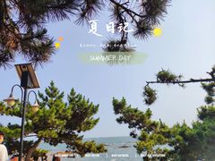 -八大关景区