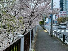 -成都濑川外国语学校