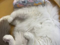 -拜鲁耶动物诊疗中心·宠家动物医院